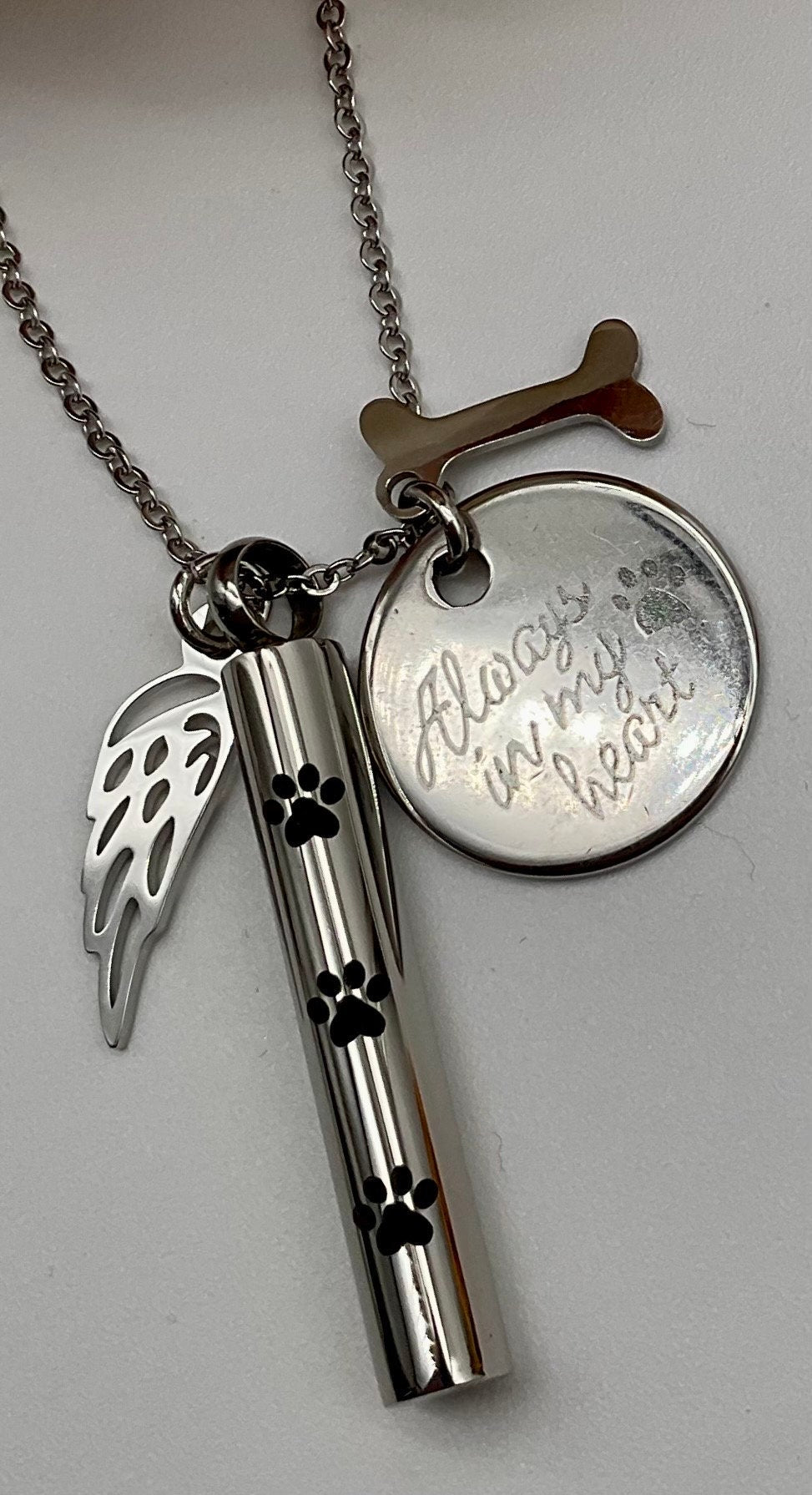 Silver Ash Urn Necklace for Pet Dog - Cat Memorial Necklace Jewelry