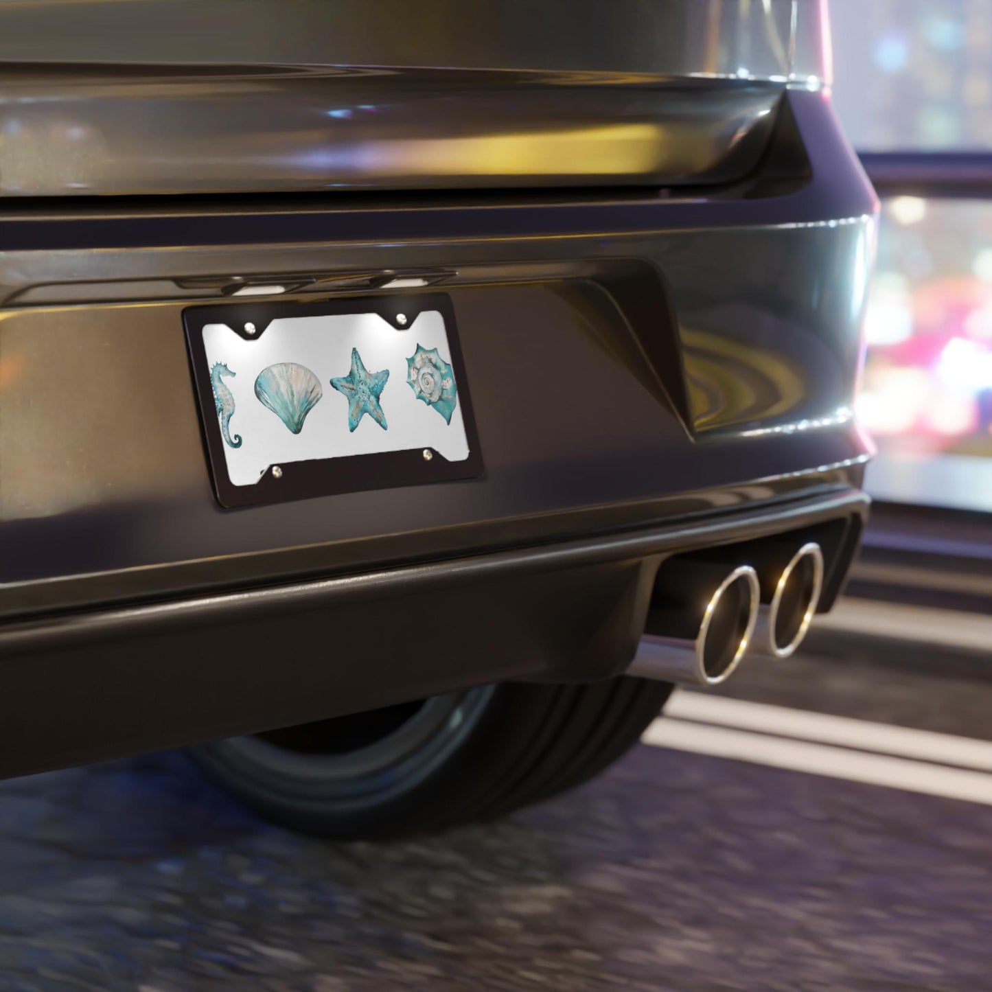 Vanity Plate Auto Plate